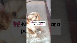 🎀•Nombres para perritas•🎀noflop aesthetic fypシ゚viral soft perritos [upl. by Issim624]