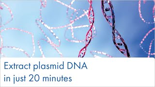 Extract plasmid DNA in 20 minutes [upl. by Nnylyoj]