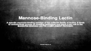 Medical vocabulary What does MannoseBinding Lectin mean [upl. by Aedrahs847]