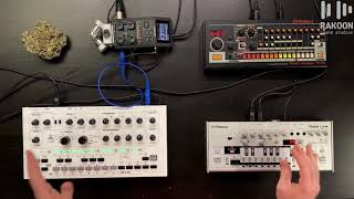 Avalon Bassline vs Roland TB03 Comparison Rakoon Sound Studios Tips and Tricks [upl. by Prunella]