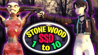 StoneWood Storm Shield Defense 1 to 10  Fortnite STW [upl. by Llednor40]