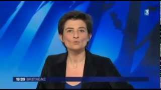 Reportage sur France 3 Bretagne  07 01 2014 [upl. by Gilcrest303]