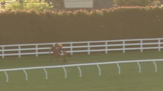 15 October Gallops Gallop 5 [upl. by Leonsis]