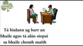 Leaving Certificate Irish Oral Conversation Example [upl. by Yob722]