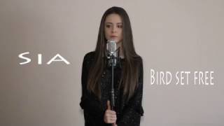 Sia  Bird set free  Daria T  Cover [upl. by Rochelle]