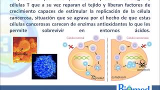 Ozonoterapia en el tratamiento para el Cáncer [upl. by Sup867]