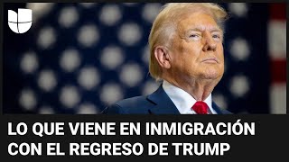 Recomendaciones para indocumentados ante el temor por el regreso de Donald Trump a la presidencia [upl. by Tnomal]