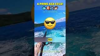 A PRINS CEL MAI SCUMP PESTE NU TE ASTEPTAI LA ASTA 🐟🐠🎣🐡 justadu pets [upl. by Anikram918]