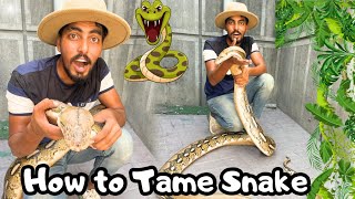 HOW TO TAME SNAKE  SANP KO TRAIN KAISE KRTY HAN [upl. by Annice735]