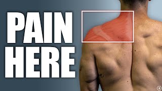 Neck and Shoulder Pain Relief 4 Strength Exercises  10 minutes [upl. by Oiramed]