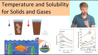 Temperature and Solubility Solids and Gases [upl. by Belden]