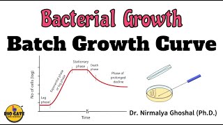 Phases of Bacterial Growth Curve microbiology growth bacteriology [upl. by Sinegold615]