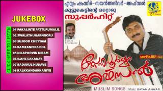 Snehapoorvam Afsal Afsal MappilaAlbum Jukebox [upl. by Oironoh90]