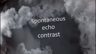 spontaneous echo contrast [upl. by Kcirded]