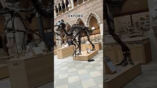 Oxford Museum shorts travel uk [upl. by Niwroc904]