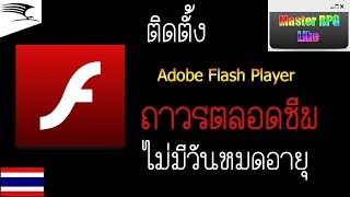 สอนโหลดโปรแกรม Adobe Flash Player ฟรีล่าสุด [upl. by Akoyn]