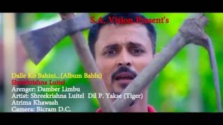 डल्ले कि बहिनी  Dalle Ki Bahini  श्री कृष्ण लुईटेल  Nepali song 20162073 [upl. by Hendry441]