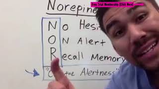 Psychiatric Pharmacology introduction norepinephrine dopamine serotonin part 1 of 30 [upl. by Dickinson]