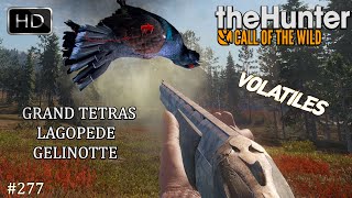 THE HUNTER CALL OF THE WILD 277 UNE NOUVELLE CHASSE AUX VOLATILES SUR REVONTULI COAST 2024 [upl. by Todhunter]