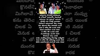 Chilaka yethodu lekha song lyrics 💔💔💔japathibabu amani spb roja [upl. by Anihpled]