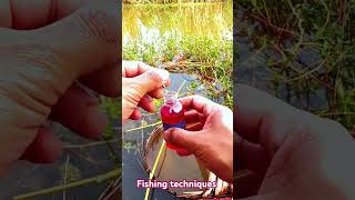 Pond Fishing techniques Catching fish pondfishing catchingfish fishingtechniques shorts [upl. by Harim]