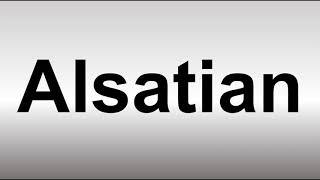 How to Pronounce Alsatian [upl. by Eceerahs]