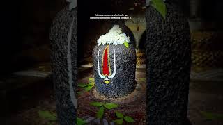 Ee janmaku nenu emana telisi teliyaka chesina thapulu umte thudisey Naina 🔱🙏shiva god [upl. by Junie]