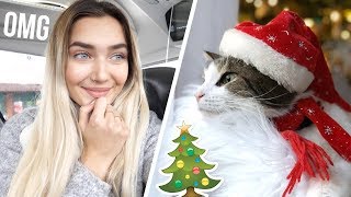 DRESSING UP MY CATS FOR CHRISTMAS CUTEST THING EVER  VLOG MAS [upl. by Hadihsar]