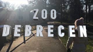 ZOO Debrecen [upl. by Ykcin159]