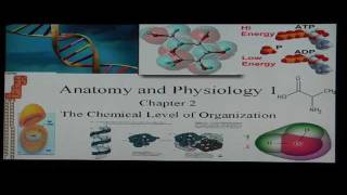 Anatomy and Physiology Help Chapter 2 Anatomy I Basic Chemistry and Biochemistry Review [upl. by Aital]