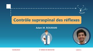 UI5  Contrôle supraspinal des réflexes médullaires [upl. by Tutt]