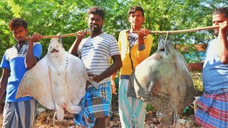 50 kg ராட்சத திருக்கை மீன் கொதி குழம்பு  Cooking giant String Ray fish gravy [upl. by Cooley]