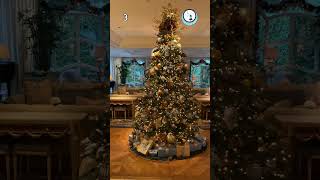 🎅🎄 christmas relax chill tree choose firecamp music chill [upl. by Mikkanen629]