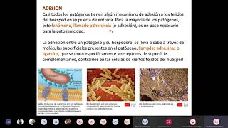 Mecanismos de Patogenicidad  Microbiología [upl. by Manny]