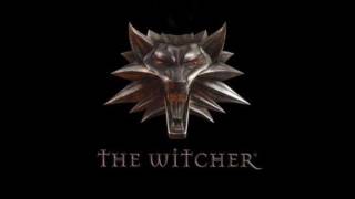 The Witcher OST  Evening in the Tavern extended [upl. by Kwok]