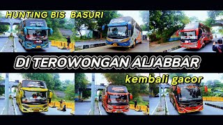 Hunting Bis BasuriDi jembatan aljabbar kembali Gacorr👍‼️teloletbasuri busmania [upl. by Enel]