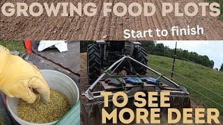 Growing Food Plots To See More Deer  Planting Food Plots From Start To Finish [upl. by Quill]