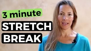 3 Minute Stretch Break  Office Yoga [upl. by Hoo350]