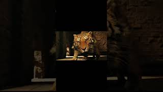 Man Tamping a Tiger shorts shortvideo subscribe movieclip youtube youtubeshorts share [upl. by Ardelis]