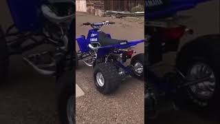 Yamaha Banshee [upl. by Monahon]