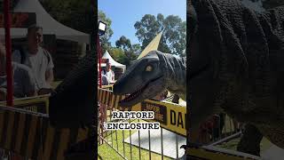 Jurrasic Kingdom Dinosaur Enclosure Ahead shortsvideo shorts family bondingmoments [upl. by O'Brien726]