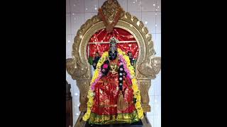 Paravai Sri vallimuthu Amman thunai 13112024🌻🌻🌻🙏 [upl. by Assinna633]