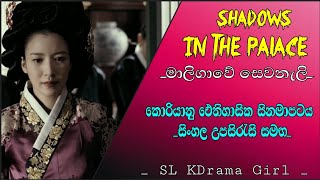 01 කොටස  Shadows in the Palace slkdramagirl viralvideo shadowsinthepalace [upl. by Latoyia]