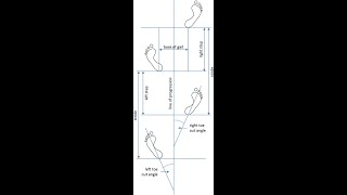 quot GAIT PATTERN ANALYSIS IN PERSPECTIVE OF FORENSIC SCIENCE INVESTIGATION quot [upl. by Anirec104]