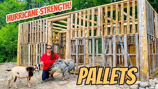 DIY Pallet BarnShed Build In 10 minutes Timelapse [upl. by Nuoras]