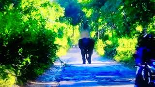 elephant attack on road [upl. by Tomi10]