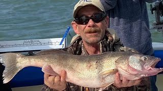 Fish Ohio Walleye [upl. by Pinchas32]