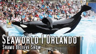 Complete SeaWorld Shamu quotBelievequot Show  Orlando  Dawn Brancheau  Tilikum  Trainers in the Water [upl. by Gnemgnok]