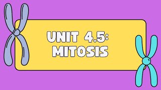 Unit 45 Mitosis [upl. by Erdnaxela]