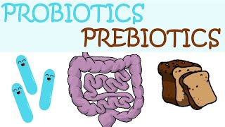 DIFFERENCES BETWEEN PROBIOTICS AND PREBIOTICS [upl. by Soma]